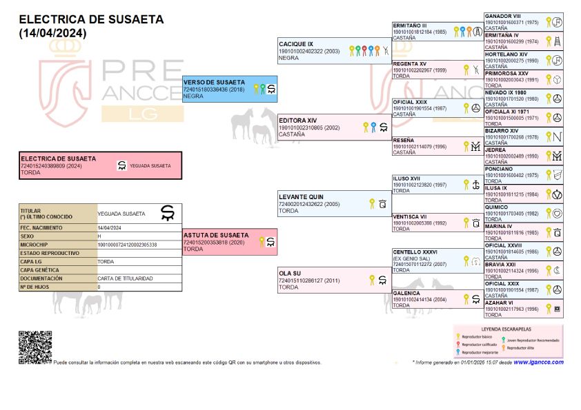 Eléctrica de Susaeta