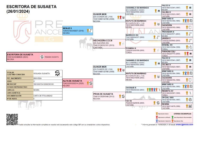 Escritora de Susaeta