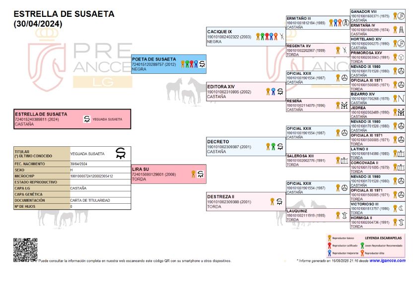 Estrella de Susaeta
